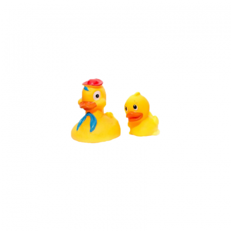 Jucarii bebelusi - Set 2 jucarii pentru baie Hencz 825-1, Multicolor