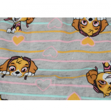 Set 3 chiloti fete Paw Patrol Disney CPP1-A-110-116-cm, Multicolor [1]