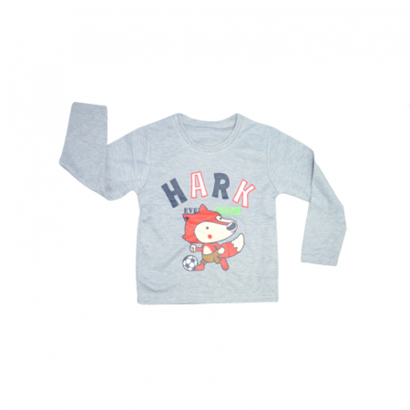 Trening 3 piese pentru baieti Happy House HB-8889, Multicolor [2]
