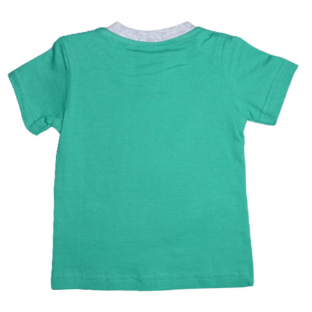 Tricou cu maneca scurta pentru baieti Disney 250423-V, Verde [1]