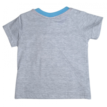 Tricou cu maneca scurta pentru baieti Disney 250423-G, Gri [1]