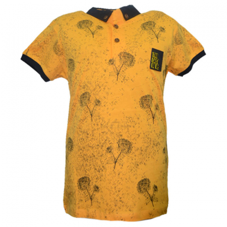 Tricouri baieti - Tricou cu maneca scurta pentru baieti Modima 180323-N, Galben