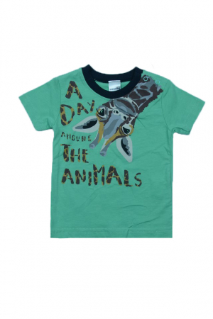 Tricouri baieti - Tricou cu maneca scurta pentru baieti Wendee OZMY101885-0V, Verde