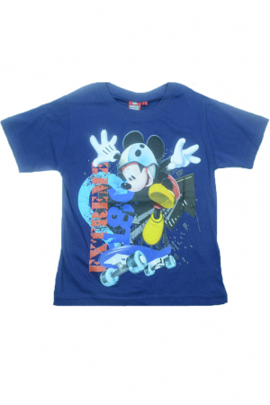 Tricouri baieti - Tricou cu maneca scurta pentru baieti Disney DSY-001-116, Bleumarin