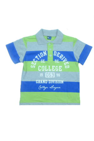 Tricouri baieti - Tricou cu maneca scurta pentru baieti GT GT-4959-104, Multicolor