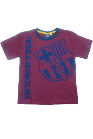 Tricouri baieti - Tricou cu maneca scurta pentru baieti Mini Junior Mini NN-001-116, Visiniu