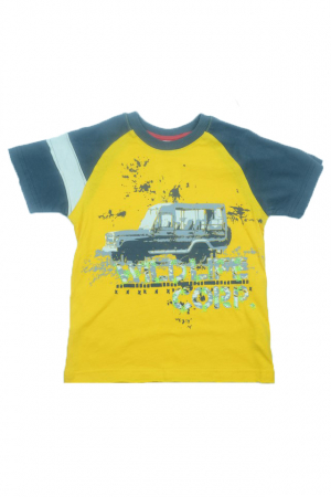 Tricou cu maneca scurta pentru baieti Wendee DY101253-1-122, Galben [0]