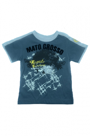 Tricouri baieti - Tricou cu maneca scurta pentru baieti Wendee DY DY101265-2-128, Gri