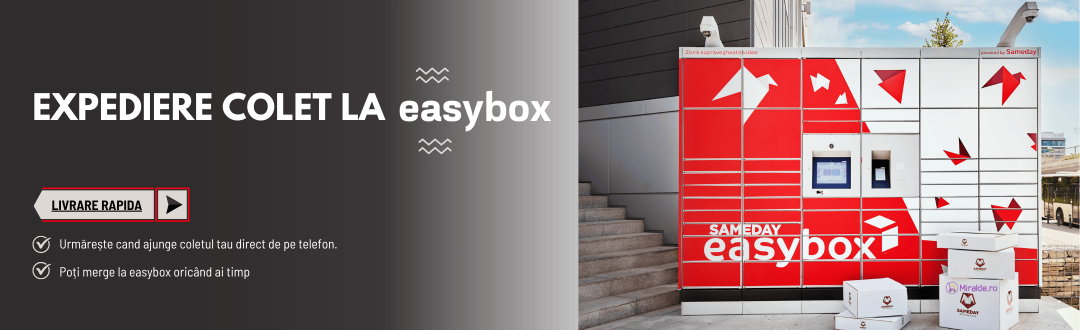 Easybox