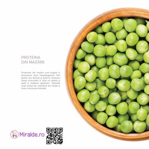 Nutriplus Shake Ciocolata [3]