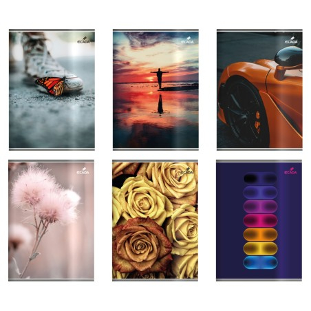 Caiete - Caiet A4, 60 File, Policrom – Ideal pentru Matematică, Marca Ecada