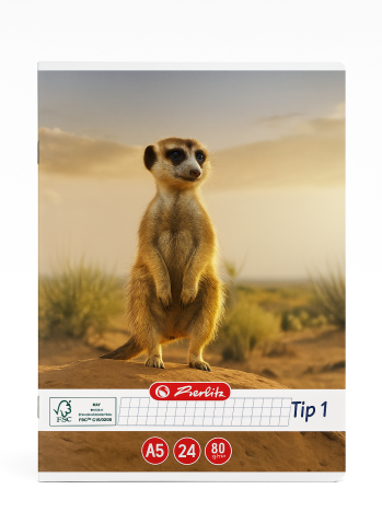 Caiete - Caiet A5 matematică Tip 1 – 24 file, Herlitz, copertă suricată