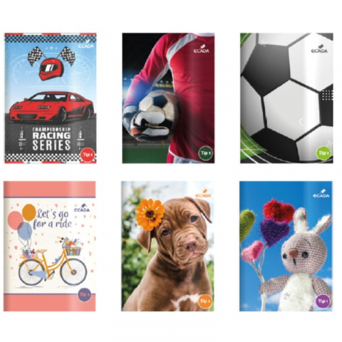 Caiete - Caiet A5 Tip 1 - Ecada