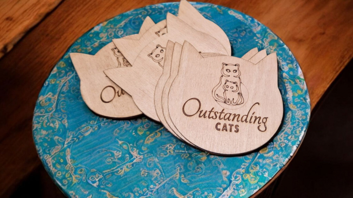 SET COASTERE - SUPORTI PAHAR - OUTSTANDING CATS [2]