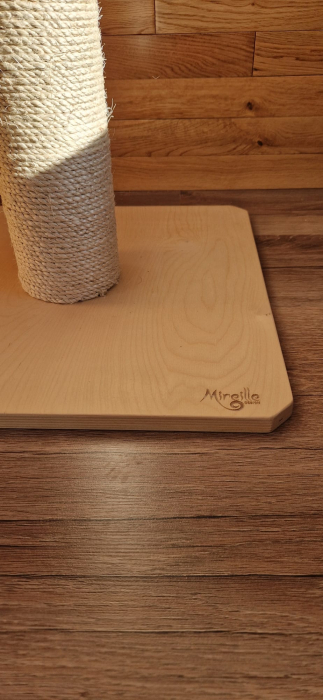 Stalp cu sisal [3]