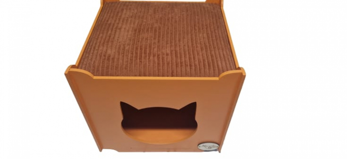 Taburet Fox [2]