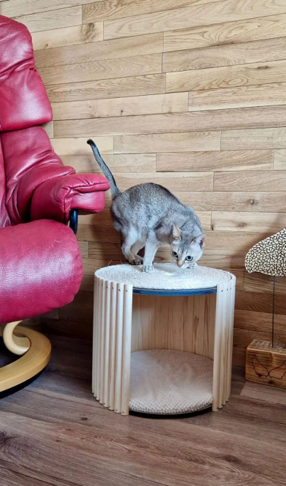 TubiCat [8]
