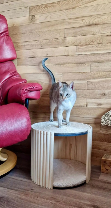 TubiCat [10]