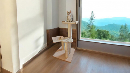 PENTRU PISICI - ANSAMBLU JOACA PISICI, COMBO THREE, 65 X 65 X 118 CM