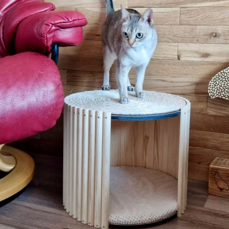TubiCat [2]