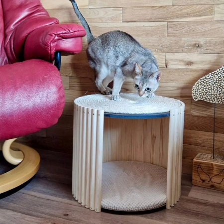 TubiCat [3]