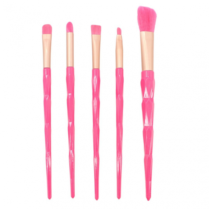 Set portabil cu 5 pensule machiaj SL-21036roz inchis [1]