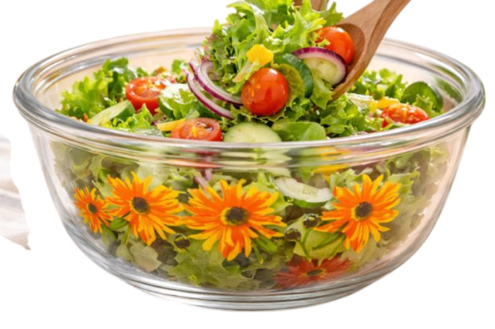 Bol Decorativ din Sticlă Galaxy – Model Floarea Soarelui, Mac sau Flamingo – 800ml [2]