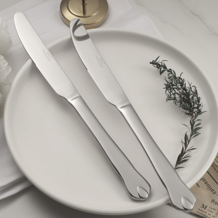 Cutit din Inox Liberty 6 Buc / Set [3]