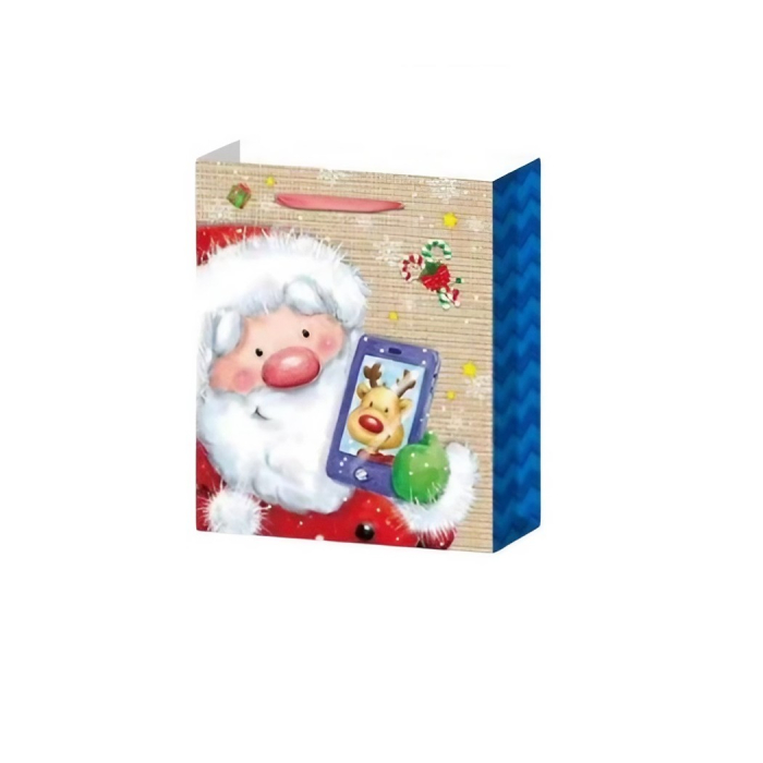 Set 6 Pungi Cadou, Imprimeu Tematica Mos Craciun si Ursuleti, Model Random, din Hartie, Impachetare Usoara a Cadourilor, 18.5x22.5x8.5 cm, Multicolor [3]