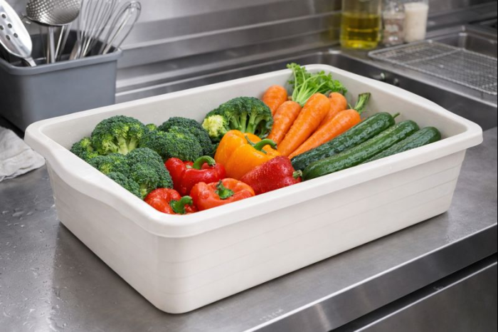 Tava dreptunghiulara alimente 2l crl [2]