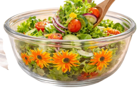 Bol Decorativ din Sticlă Galaxy – Model Floarea Soarelui, Mac sau Flamingo – 800ml [1]