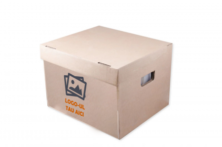 Cutie Arhivare Documente 330 Cm x 300 Cm x 300 Cm [2]