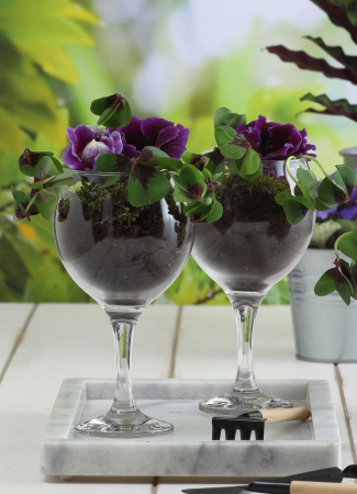 Lav pahare misket mis590 645cc 6buc/set [4]