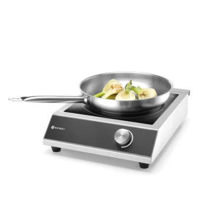 Plita inductie model 3500 M [5]