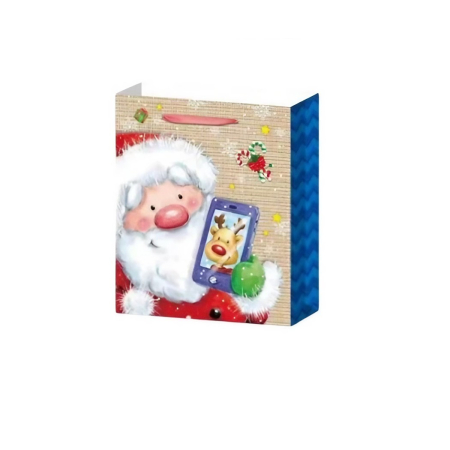 Set 6 Pungi Cadou, Imprimeu Tematica Mos Craciun si Ursuleti, Model Random, din Hartie, Impachetare Usoara a Cadourilor, 18.5x22.5x8.5 cm, Multicolor [2]