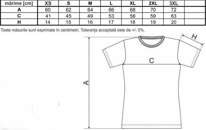 Model Îngeraș 01 [4]