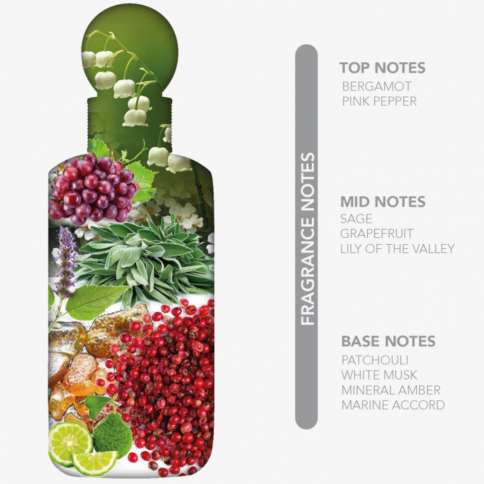 Amber Delicieux  100 ml - Inspirat din Acqua Di Giò Profumo Giorgio Armani [2]