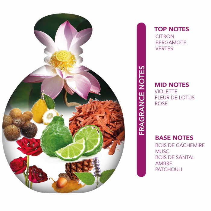 Azaliaa Inflora By Nylaa 100 ml - Inspirat din Euphoria Calvin Klein [3]