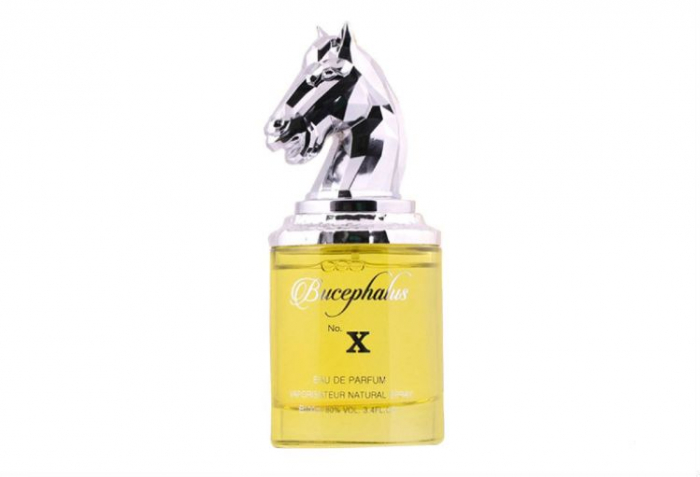 Bucephalus No X by Armaf Niche 100 ml [3]