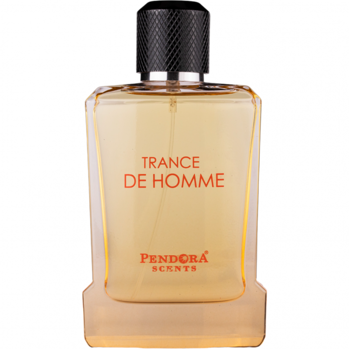 Trance de Homme By Pendora Scents - Parfum Fresh Inspirat din Terre d’Hermès [1]