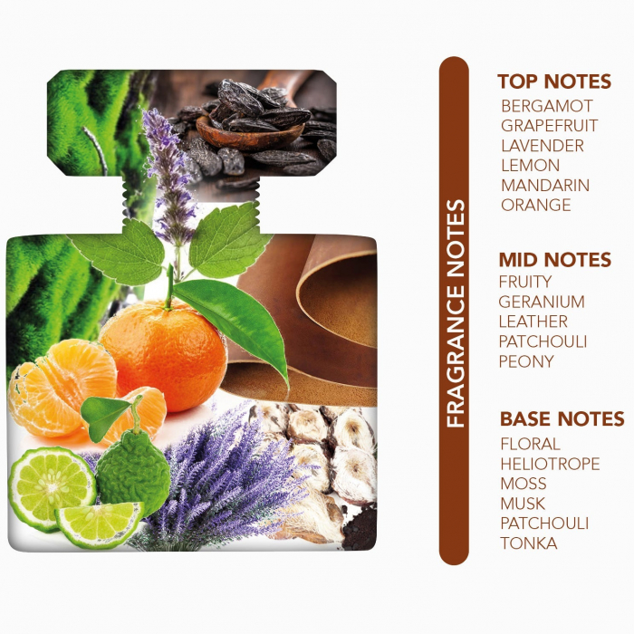 Sticla de parfum Vetiver Paradiso by Nylaa, 100 ml - Parfum proaspăt pentru bărbați. [3]