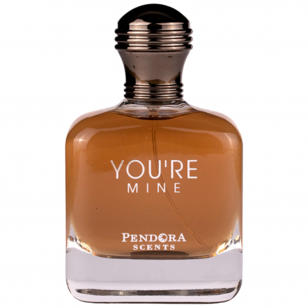 Paris Corner - You're Mine By Pendora Scents 100 ml - Inspirat din Armani You Men