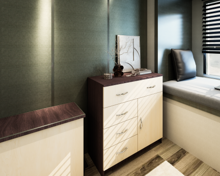 Comoda 1-3-1 Ro, Wenge + Mesteacan [3]