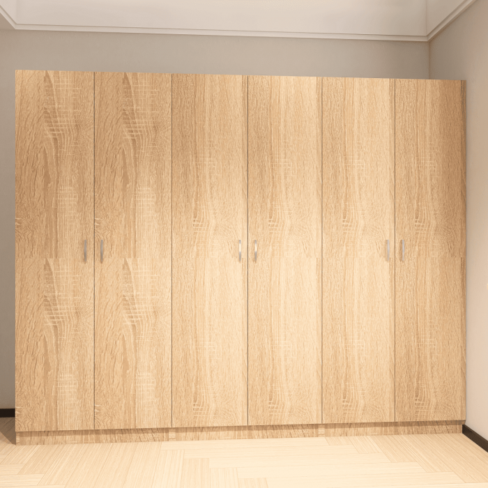 Dulap Haine cu 6 usi, L240 x H200 x A50cm, Material Pal18mm, Culoare Stejar Sonoma [5]