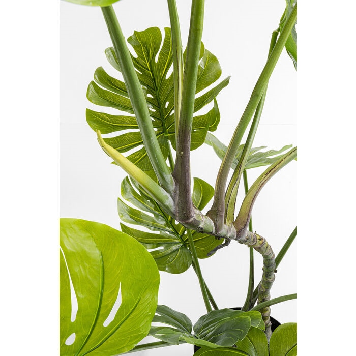 Plantă Decorativă Monstera 50x40x110 cm, Eva și Polietilenă - Kare Design [3]