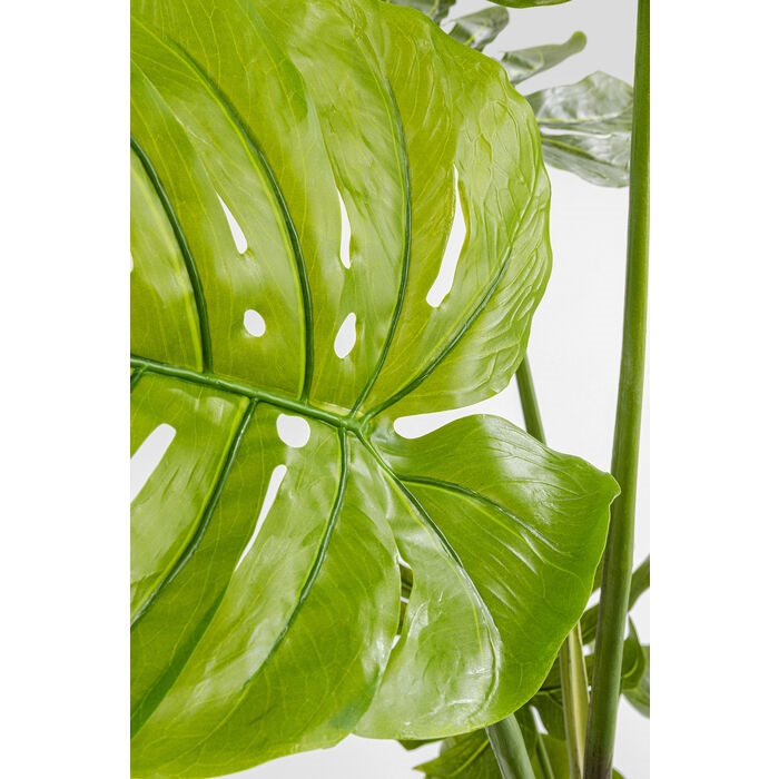 Plantă Decorativă Monstera 50x40x110 cm, Eva și Polietilenă - Kare Design [4]