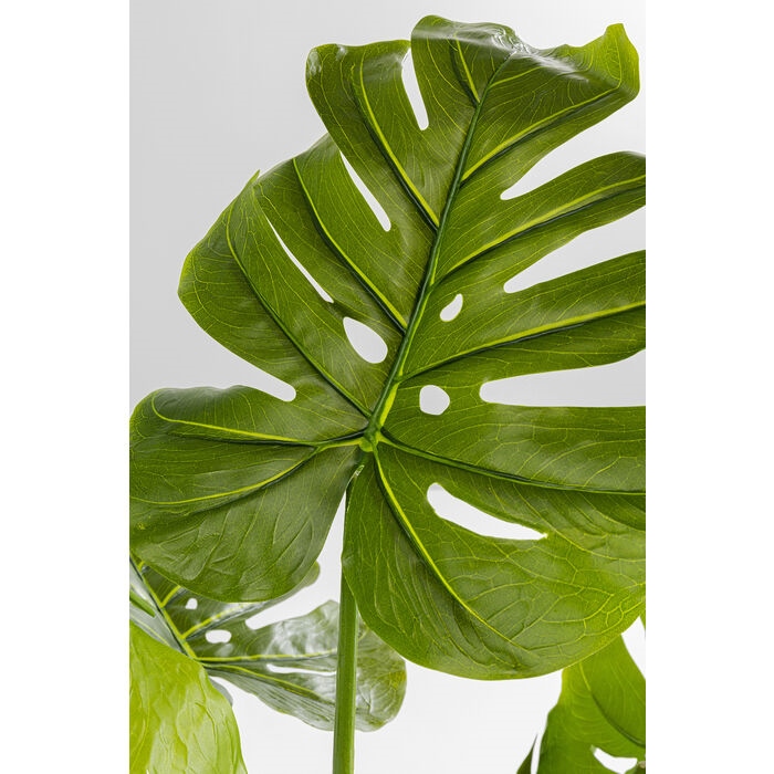 Plantă Decorativă Monstera 50x40x110 cm, Eva și Polietilenă - Kare Design [5]