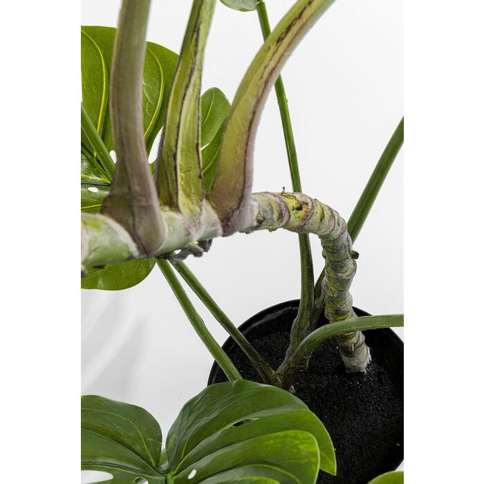 Plantă Decorativă Monstera 50x40x110 cm, Eva și Polietilenă - Kare Design [6]
