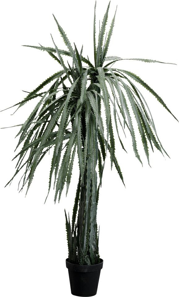 Produse - Plantă Decorativă Dragon Tree 70x70x155 cm, Plastic Negru - Kare Design