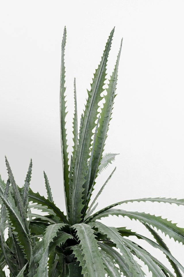 Plantă Decorativă Dragon Tree 70x70x155 cm, Plastic Negru - Kare Design [2]